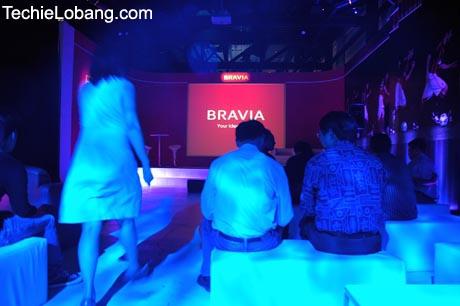 bravia_13 bravia_13