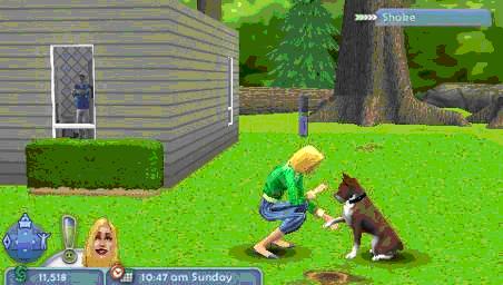 psp_sim2_pets