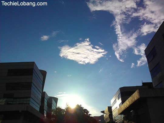 HL_20101028181041m