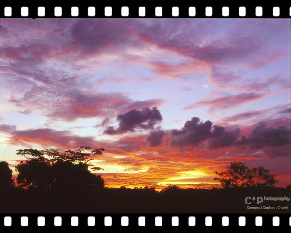 chester_chen_skyfire