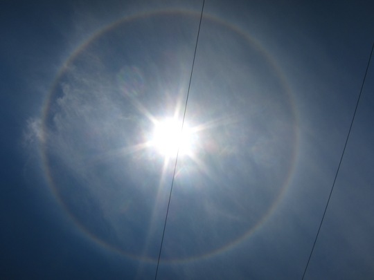 felix_sundog