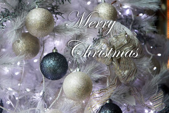tlb_merry_christmas_2011