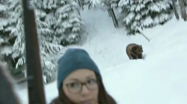 samsung-bear-surprise
